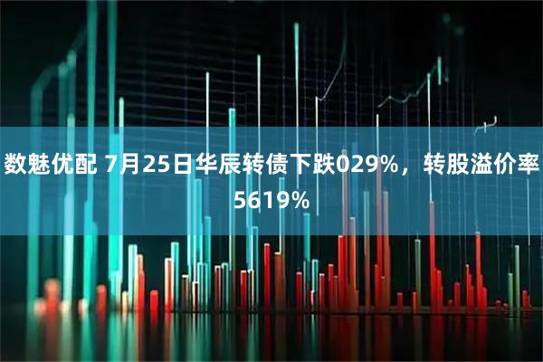 数魅优配 7月25日华辰转债下跌029%，转股溢价率5619%